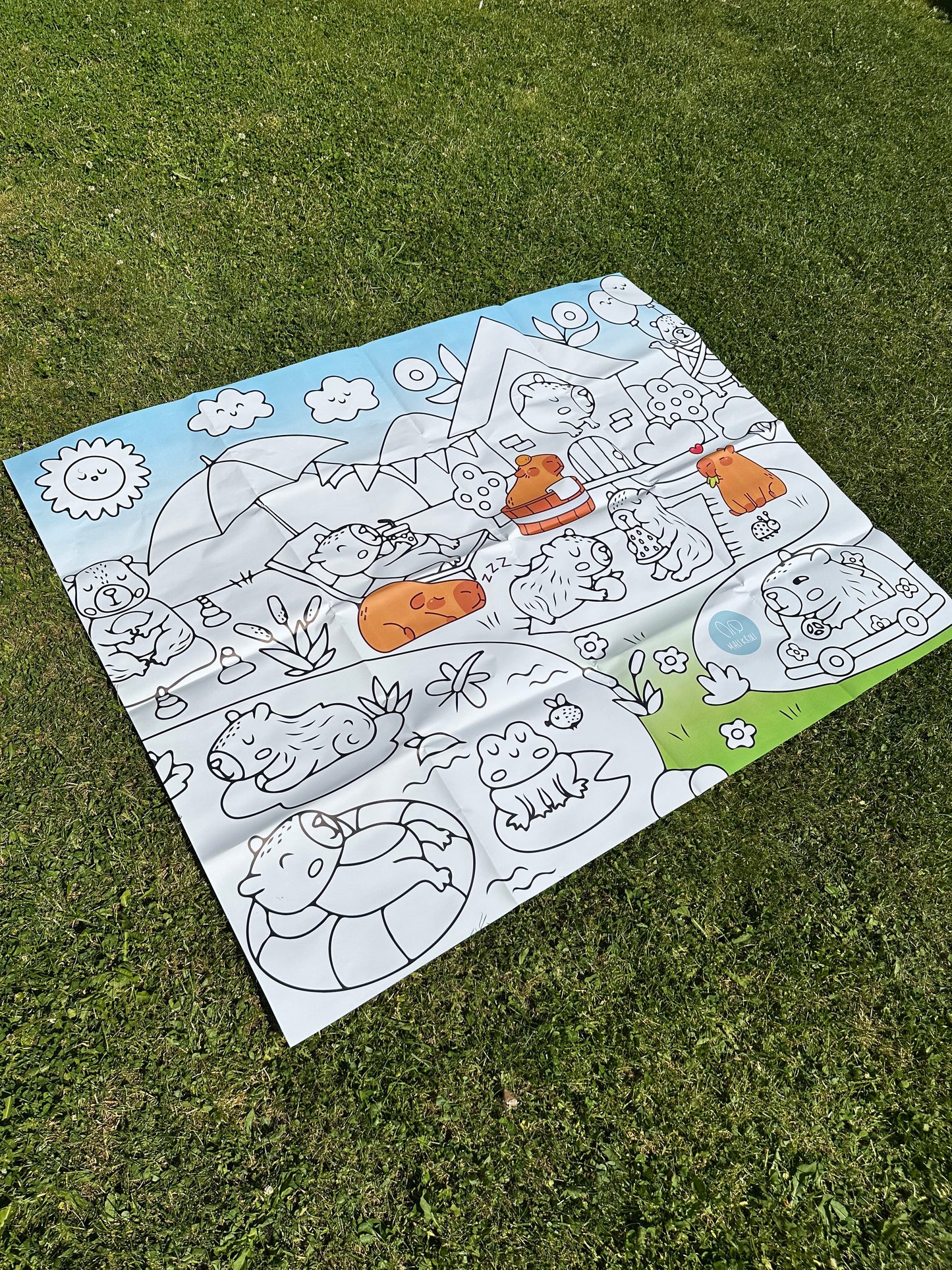Wasserschwein | RIESIGE Malvorlage 120 x 150 cm