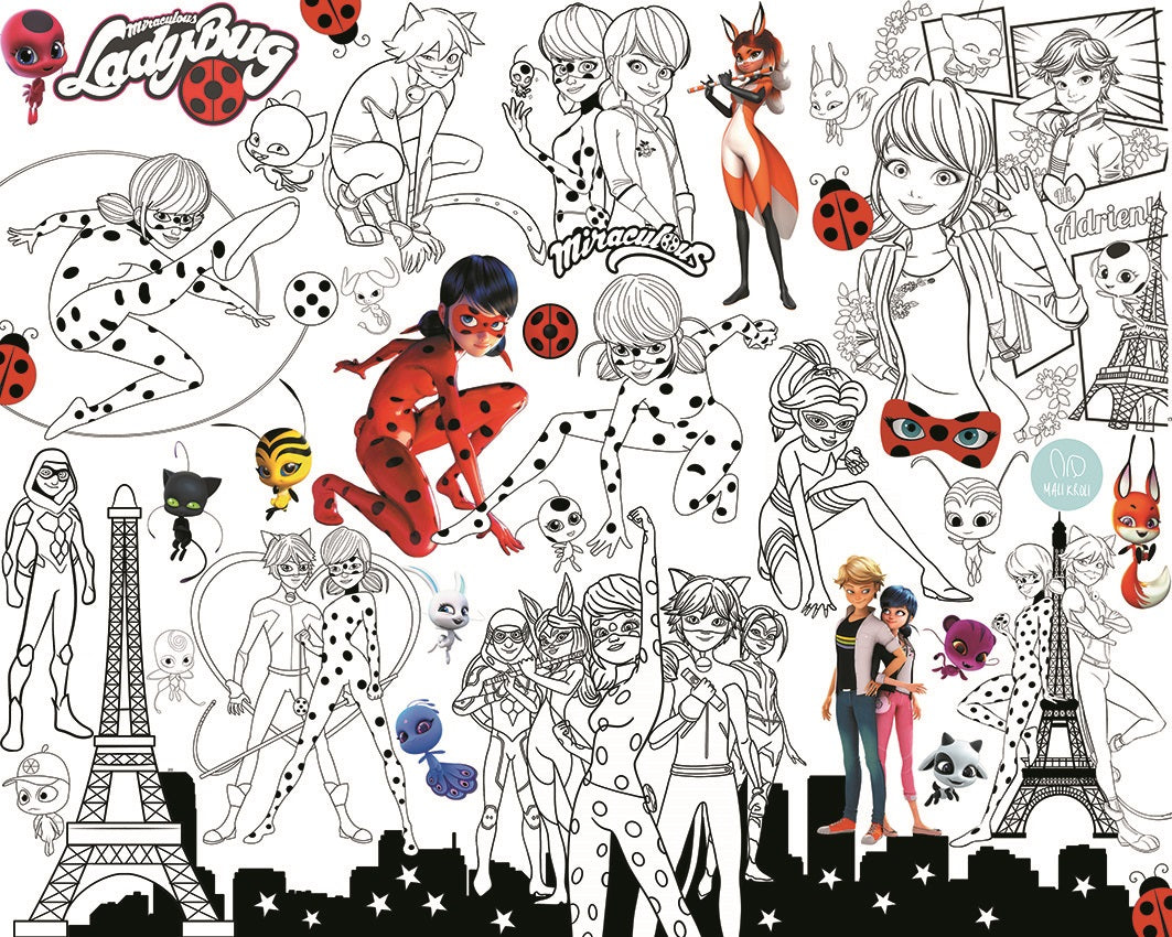 Coccinellidae | RIESIGE Malvorlage 120 х 150 cm