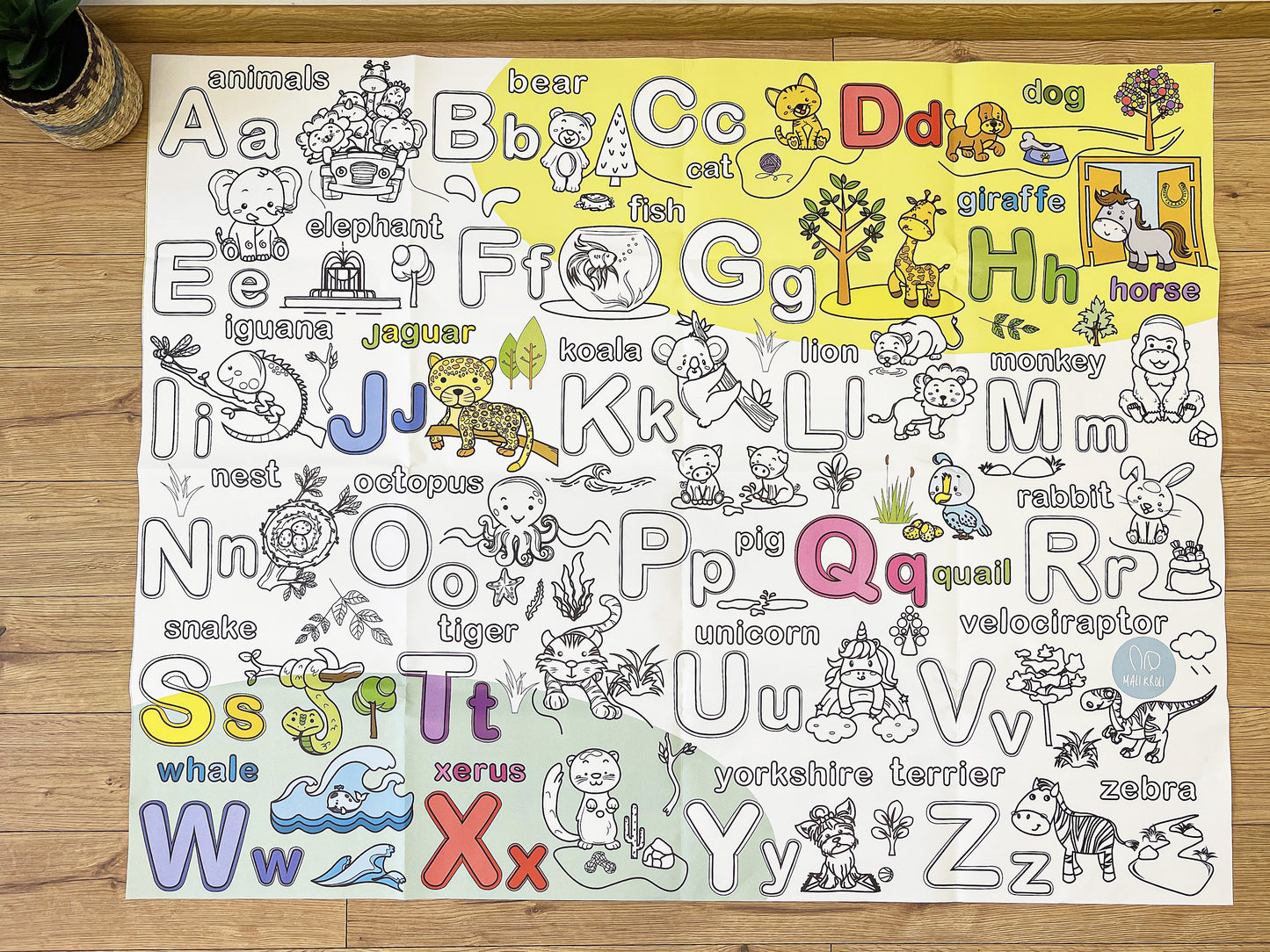 Englisches Alphabet | RIESIGE Malvorlage 120 х 150 cm